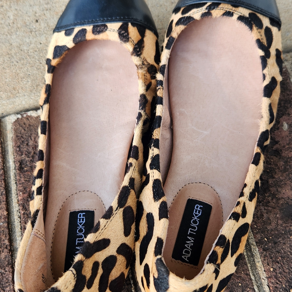 Adam Tucker Leopard-Print Flats with Black Cap Toe - Picture 7 of 8